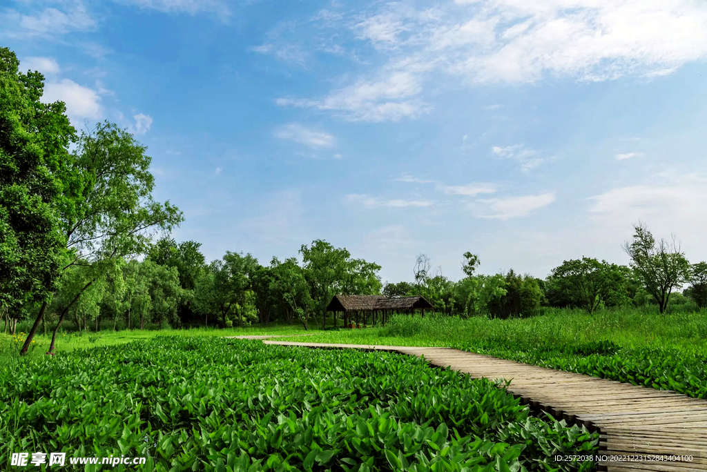 浙江杭州西溪濕地公園