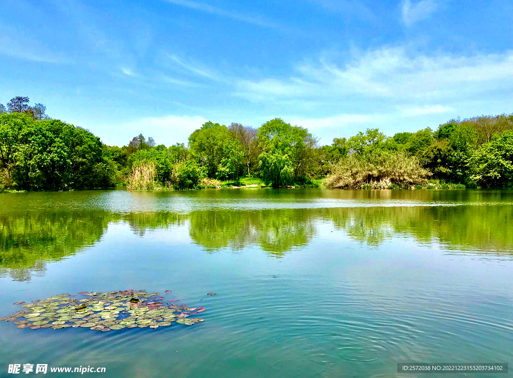 浙江杭州西溪濕地公園