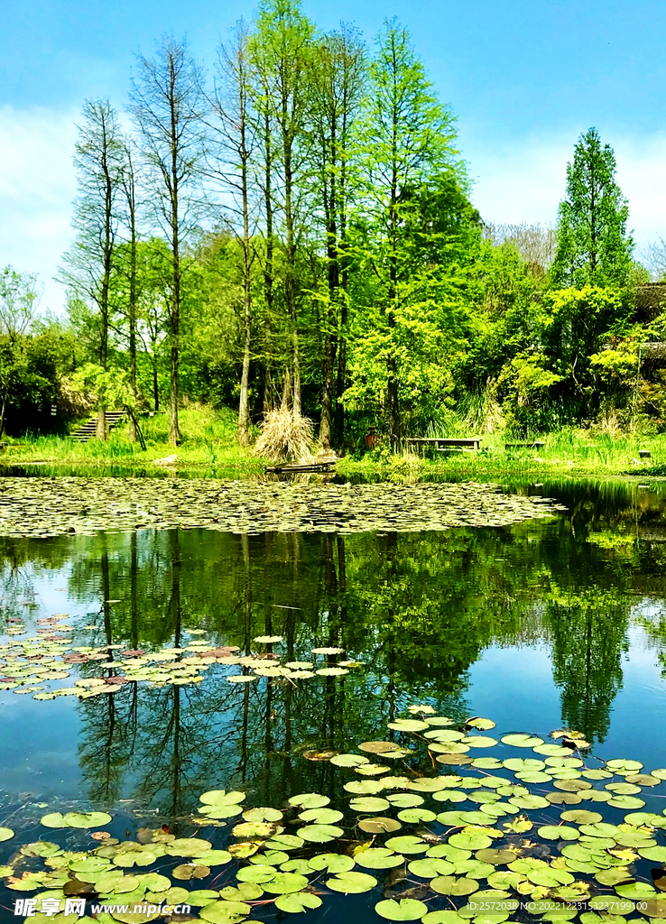 浙江杭州西溪濕地公園