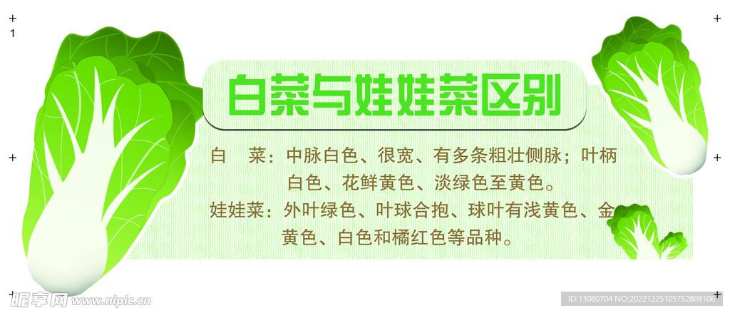 白菜和娃娃菜的區別