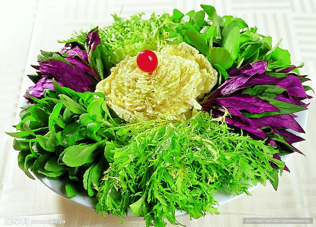 養生菜