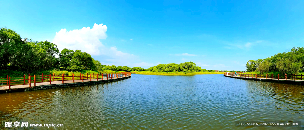 黑龍江黑瞎子島濕地