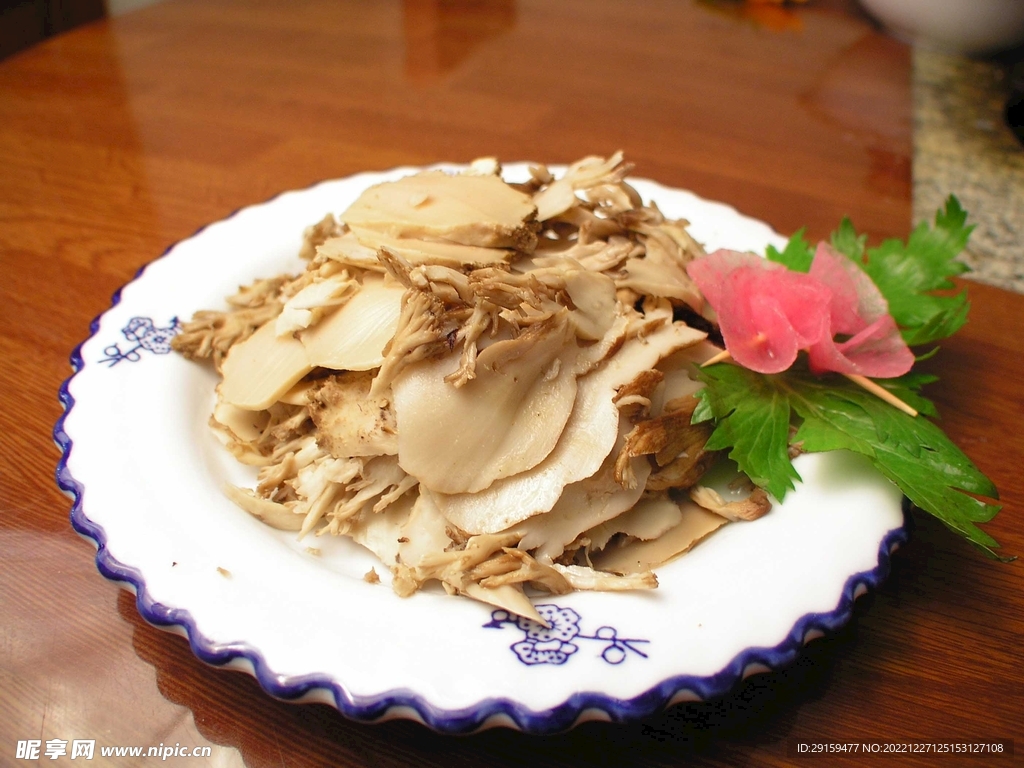 珊瑚菌