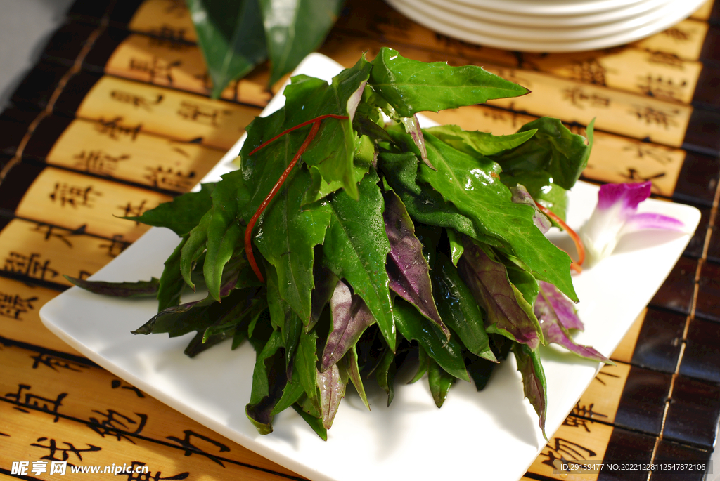 蒜茸天葵葉