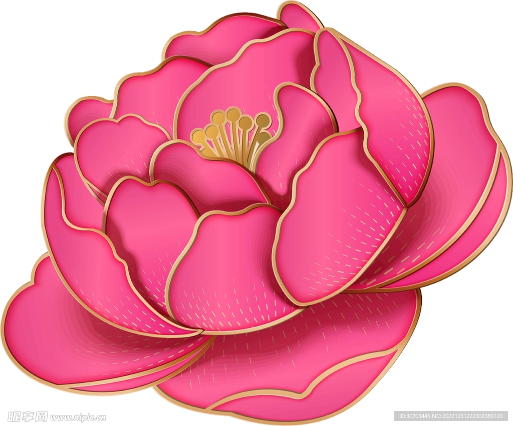 粉色花