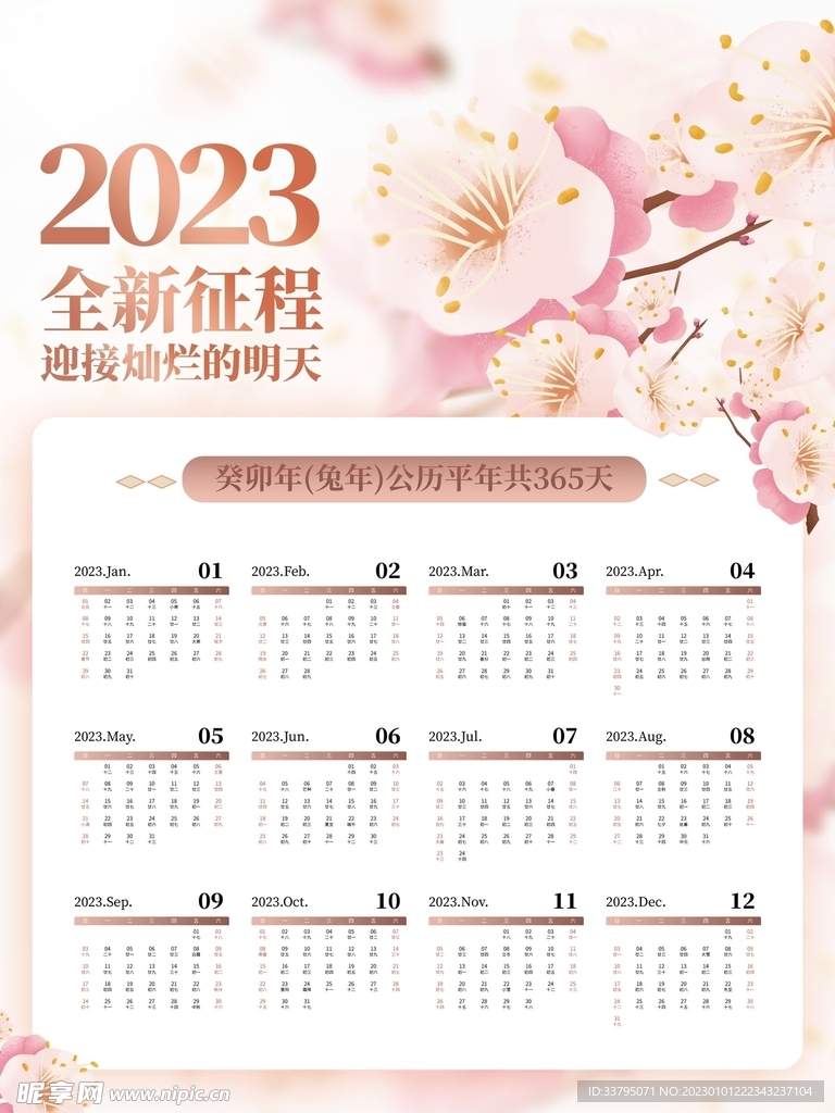 2023新年兔挂历日历
