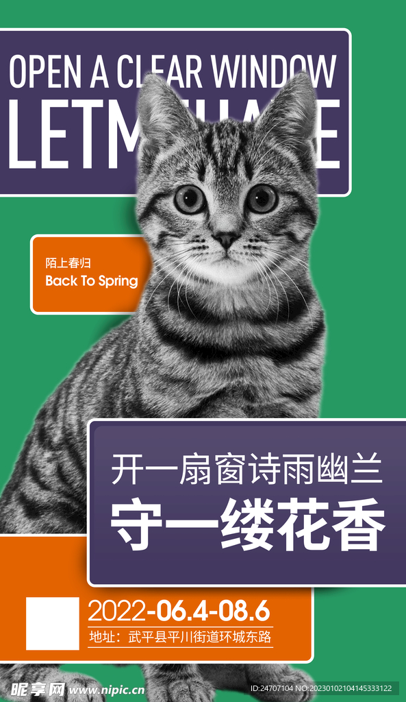 猫的海报设计