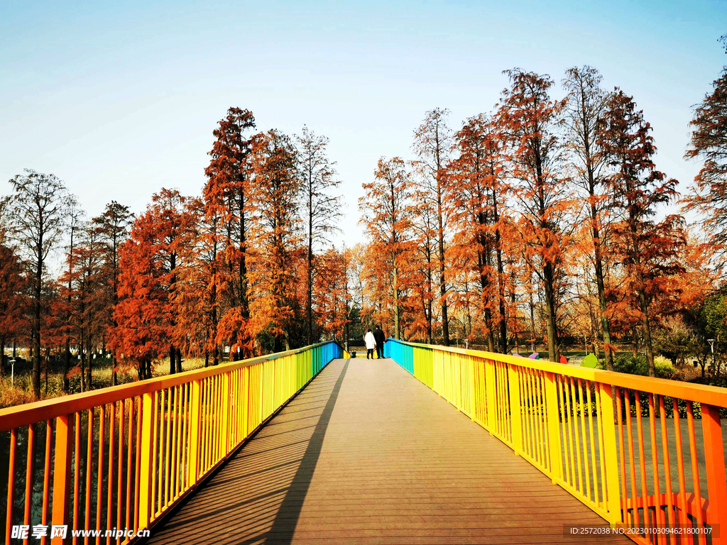 湖北武漢華僑城濕地公園