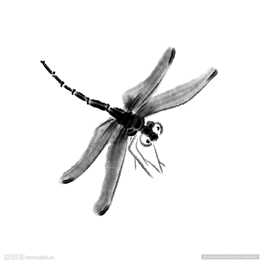 水墨画蜻蜓