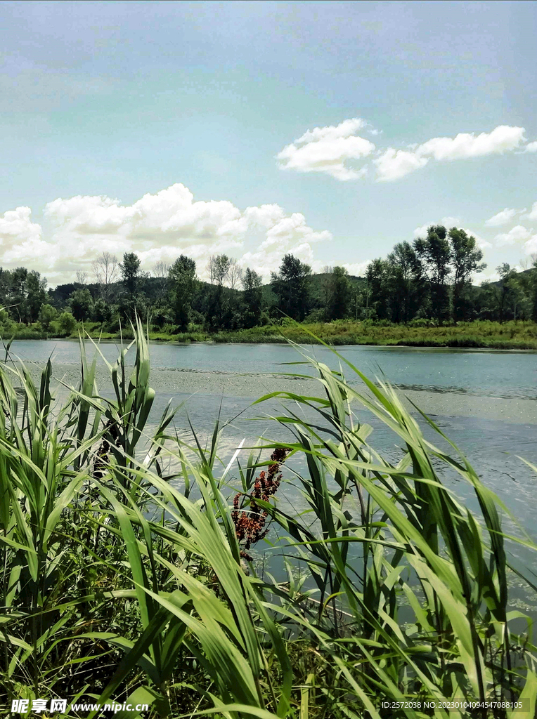 遼寧撫順社河濕地公園