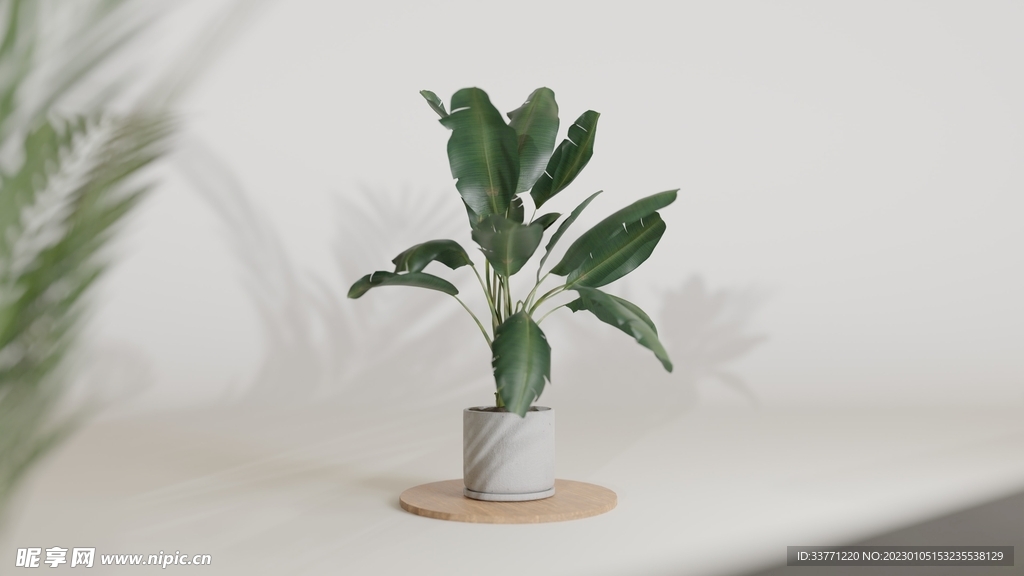 綠色盆栽