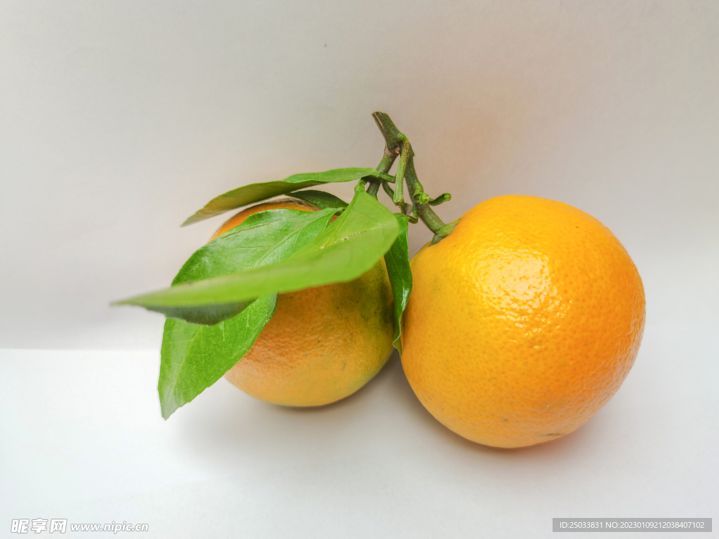 橘子 