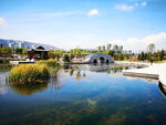 青海西宁北川河湿地公园