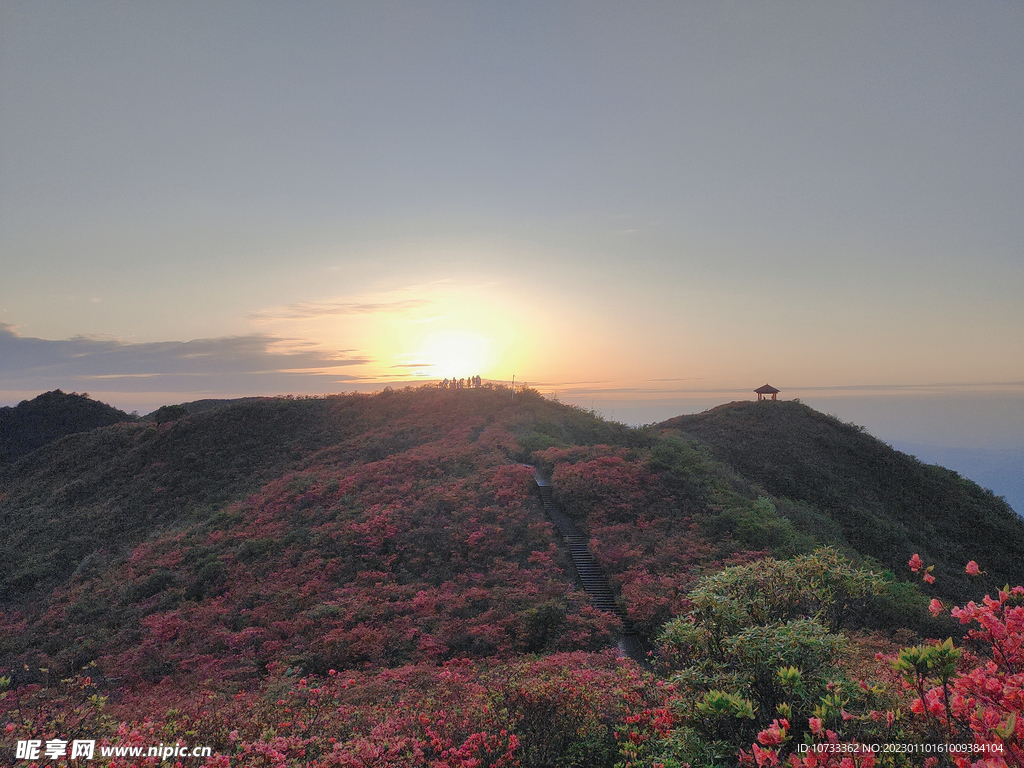夕陽紅