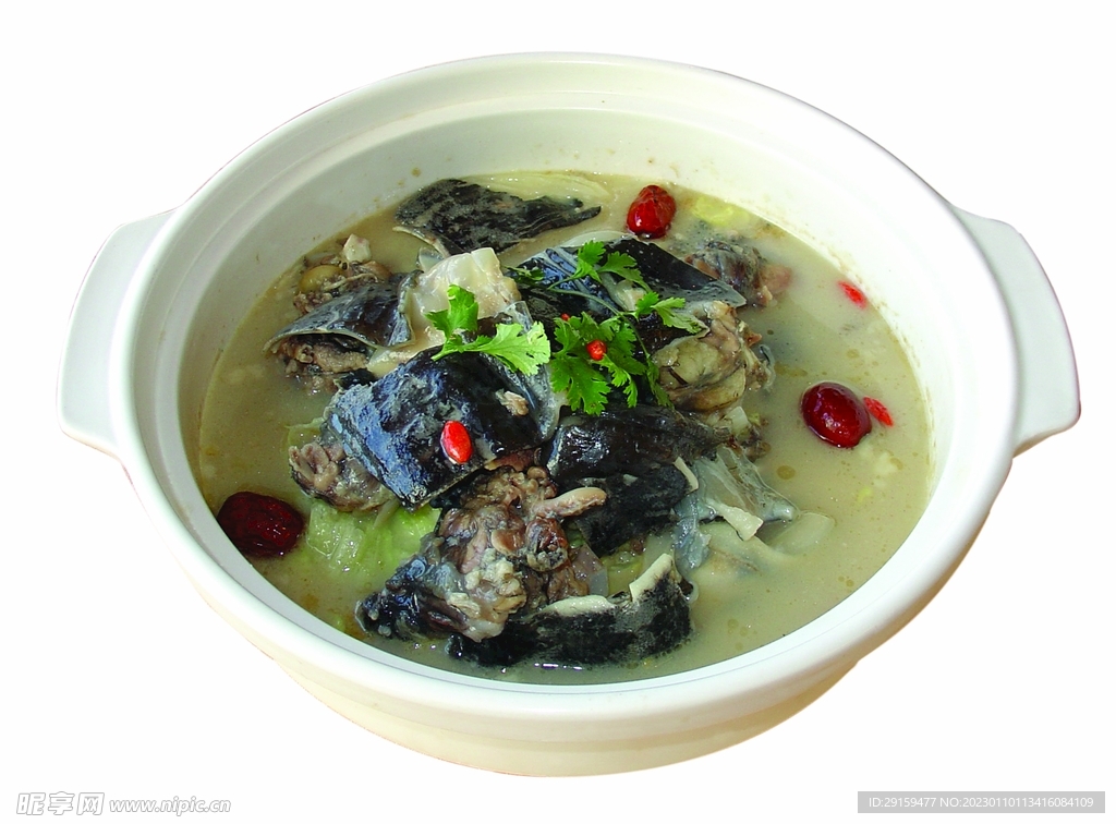 滋補甲魚
