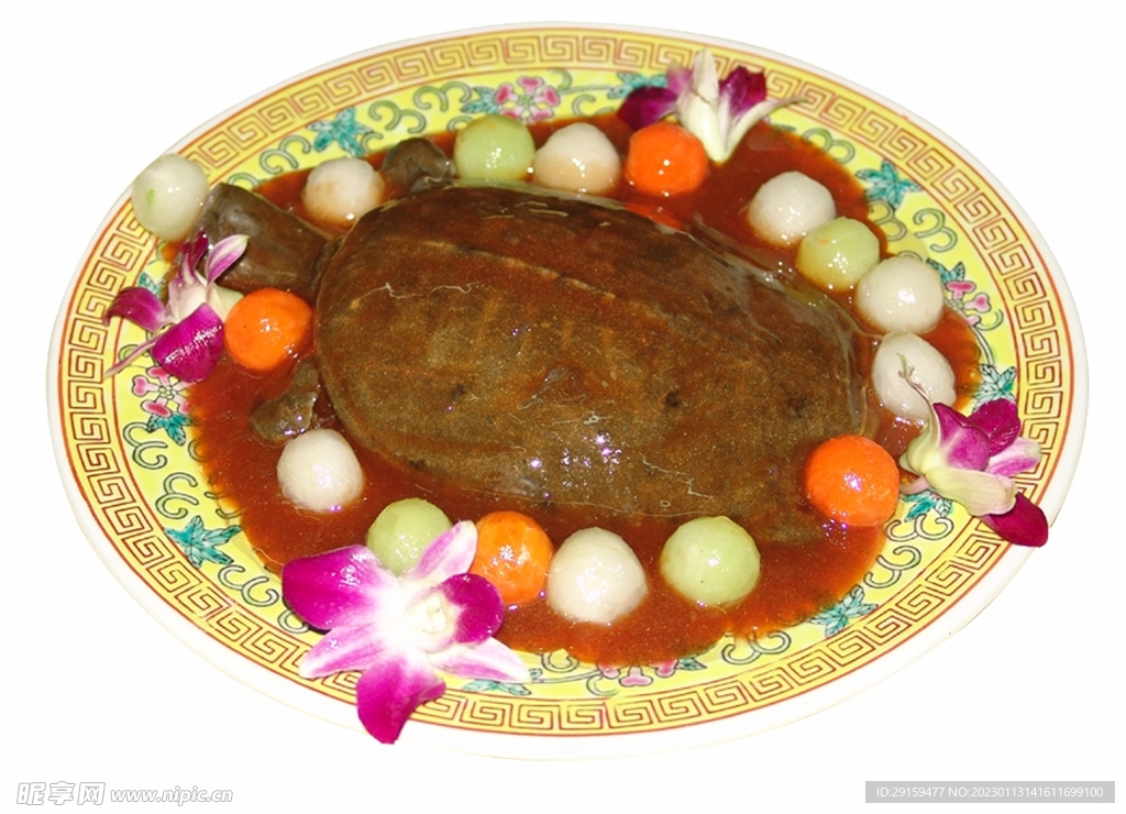 甲魚懷珠