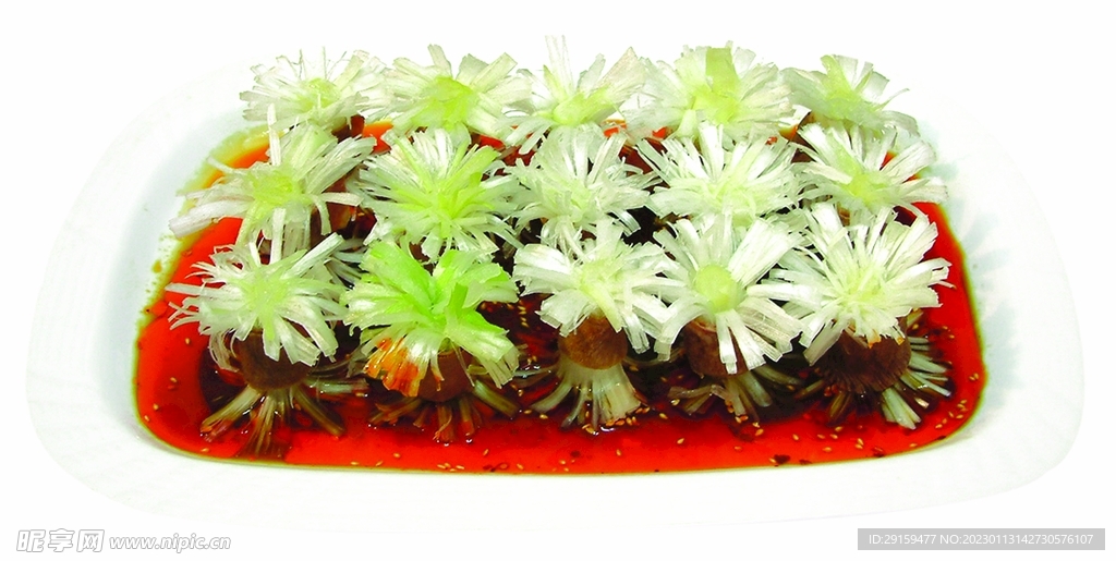 開花牛舌菌