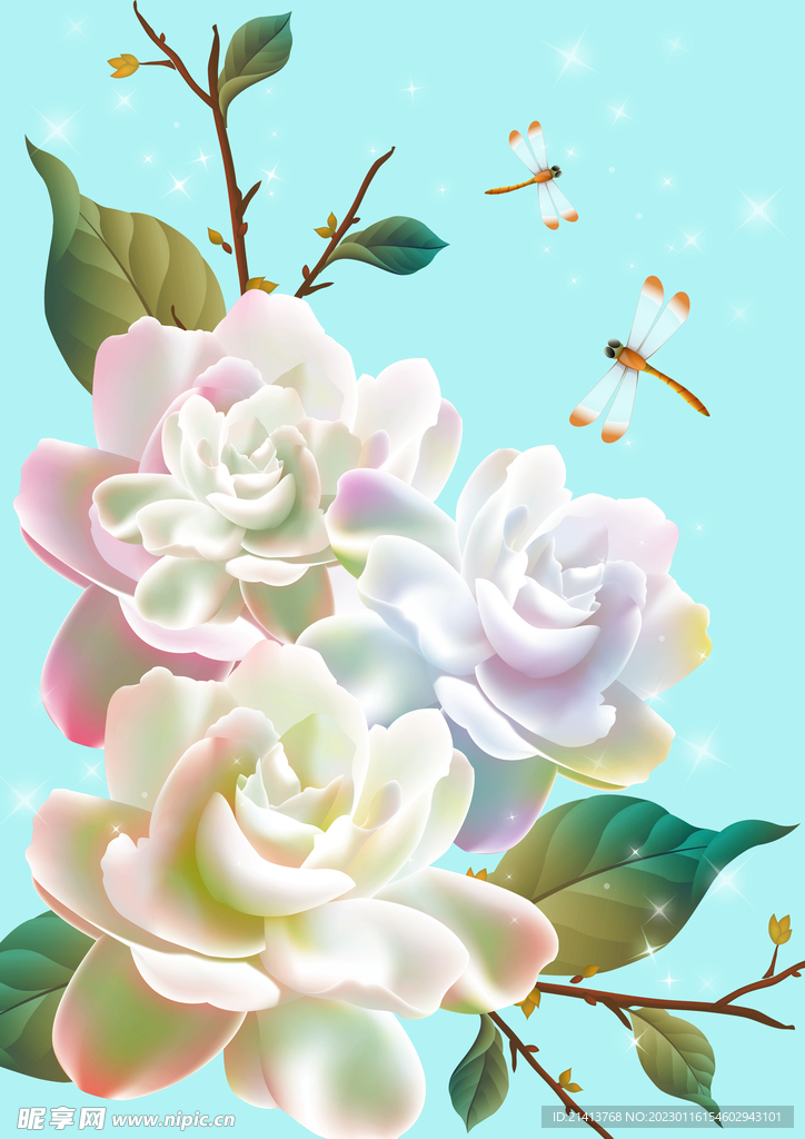 玫瑰花朵花卉 