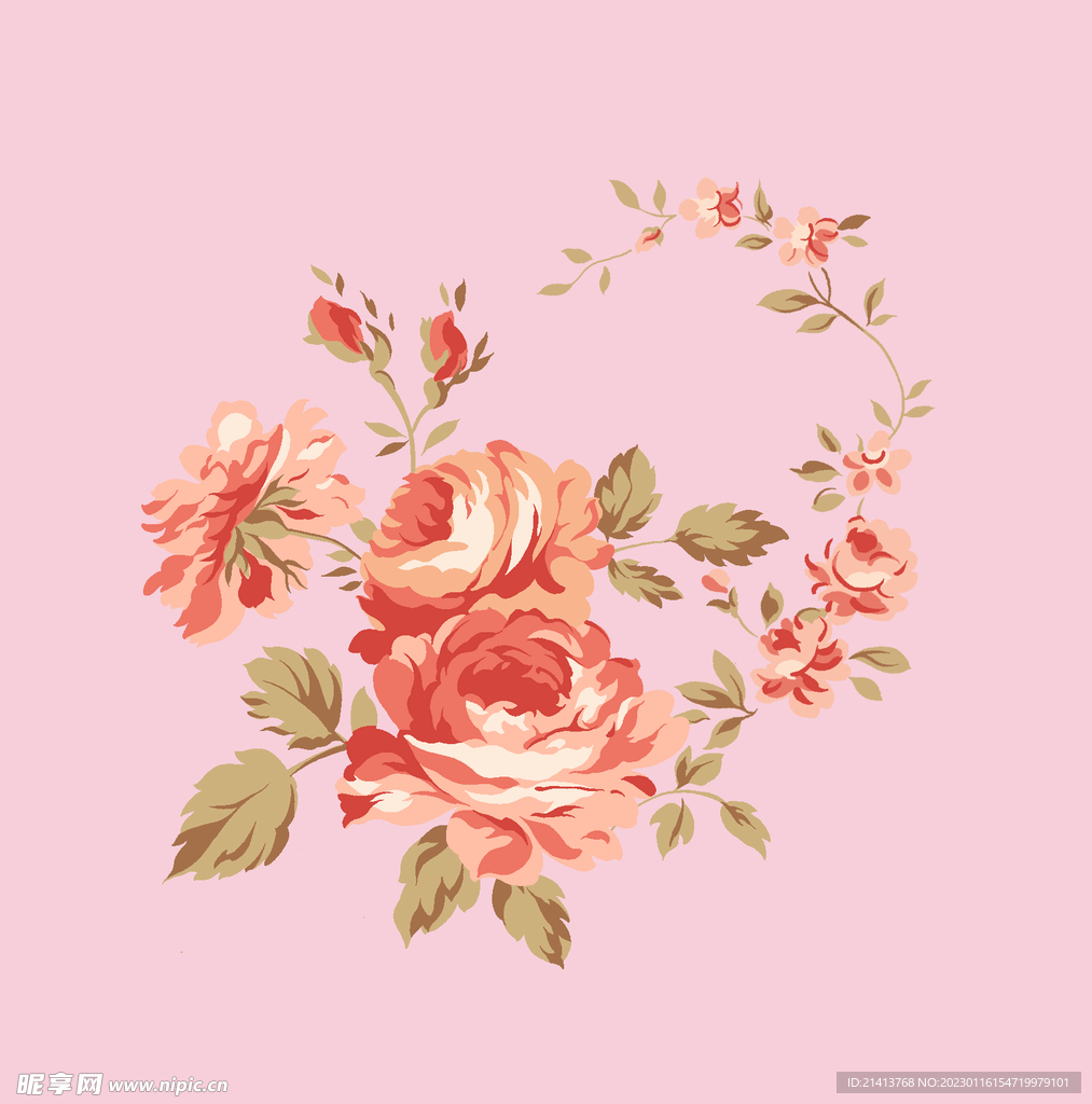 月季花朵花卉