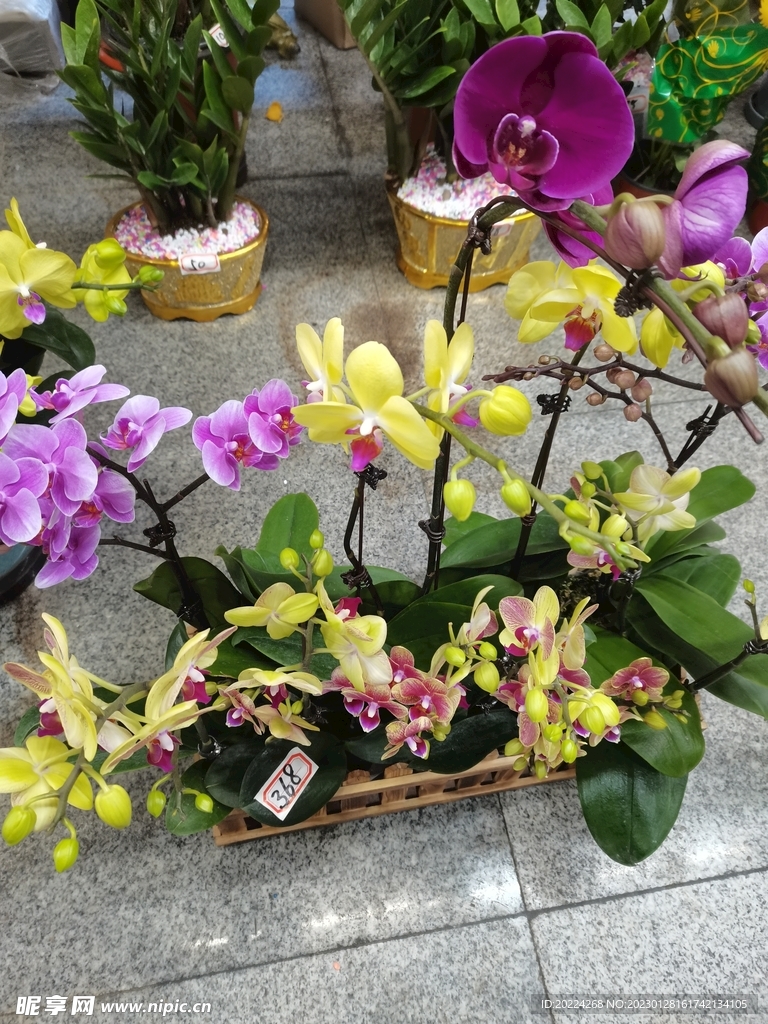 鮮花