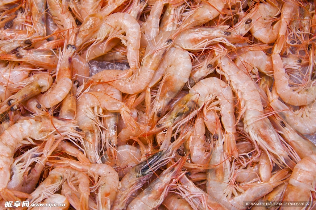 大蝦美食