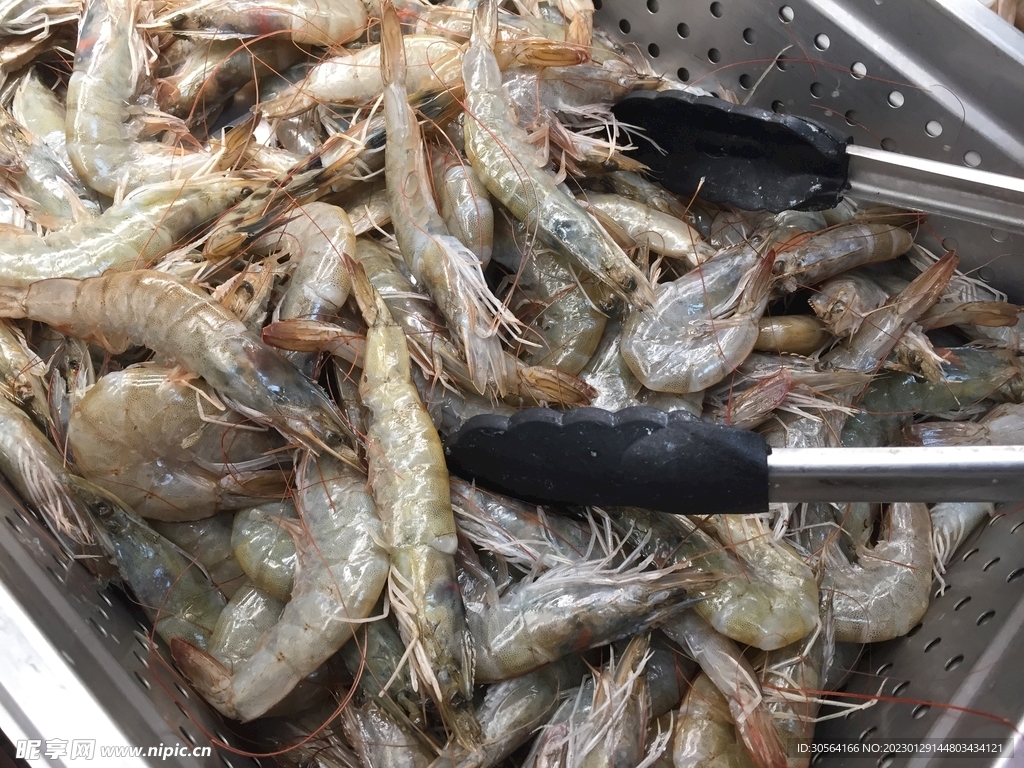 大蝦食材