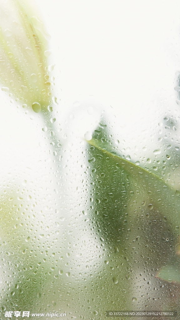 水滴水珠