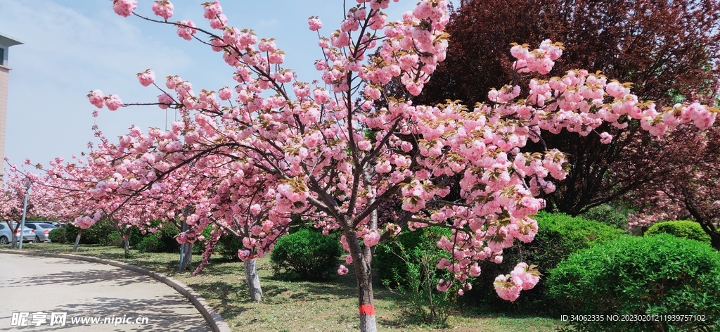 馬山藝術攝影