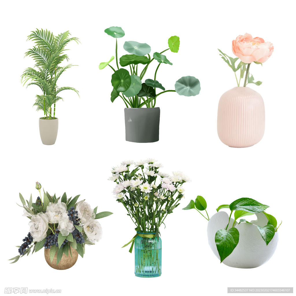 植物盆栽