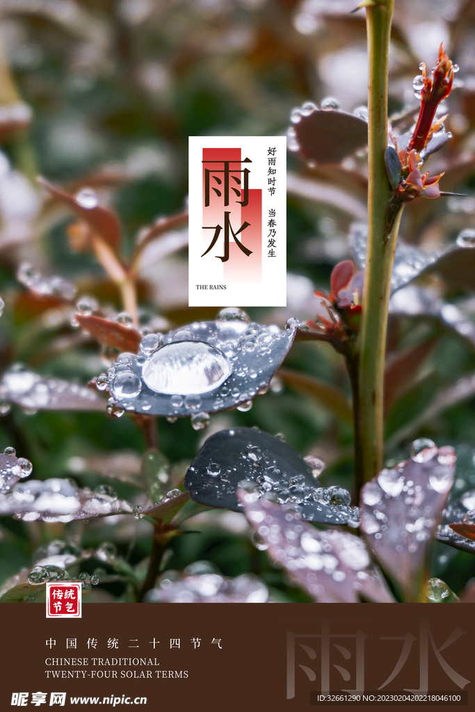 雨水传统节日