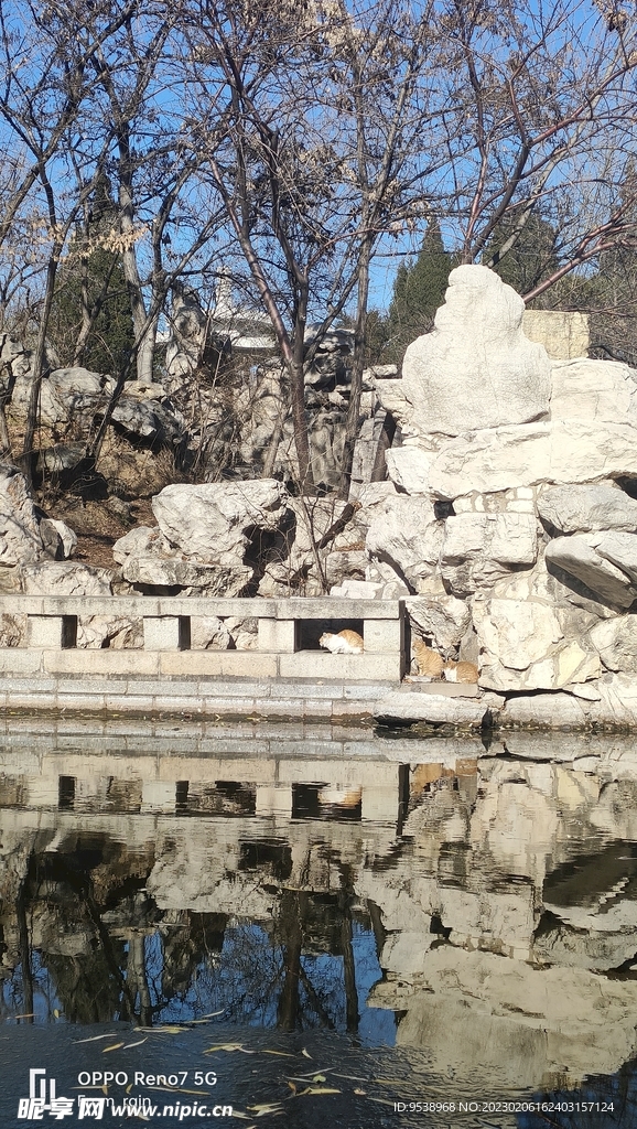 公園美景