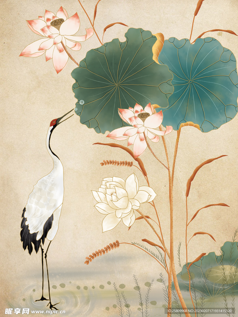 古典花卉插画 丹顶鹤