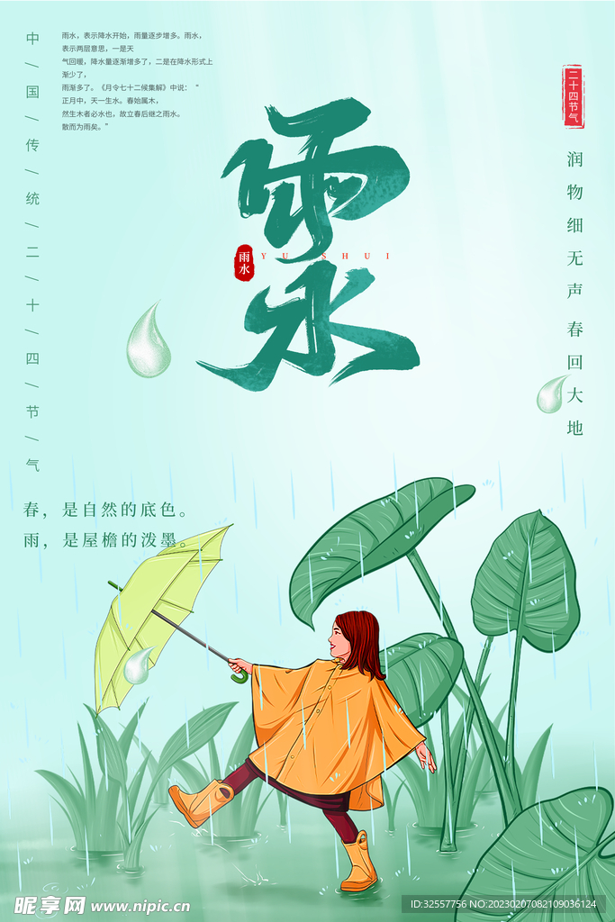 雨水节气植物海报