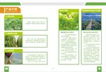 绿色农膜画册