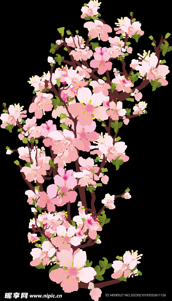 櫻花