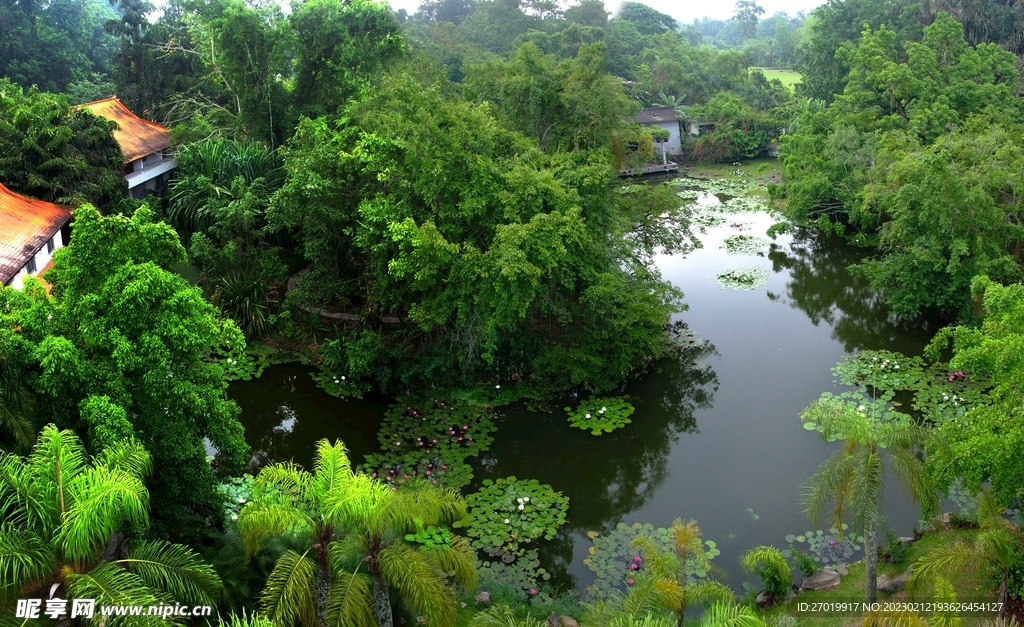 西雙版納植物園