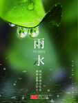 雨水绿色二十四节气海报