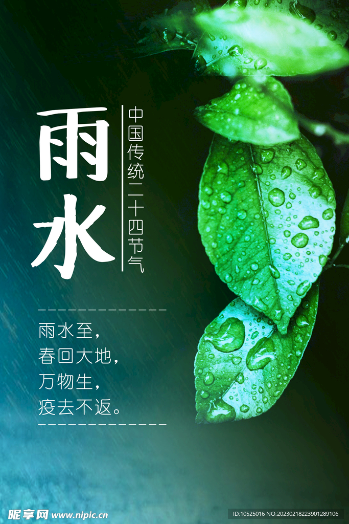 雨水