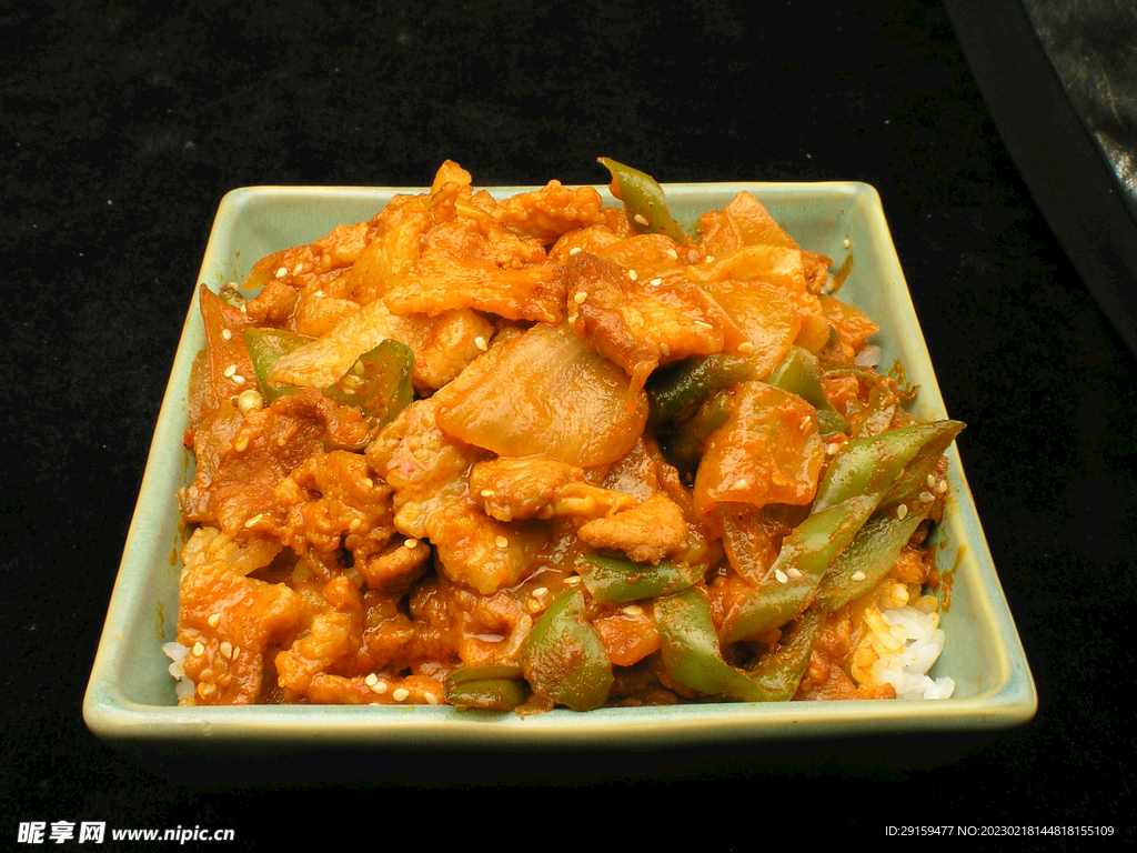 豬肉蓋飯