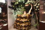 台湾博物馆里的蛇雕塑