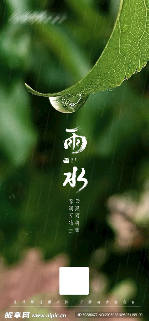雨水節(jié)氣海報(bào)