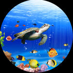 游鱼海底世界海龟圆形挂画装饰画