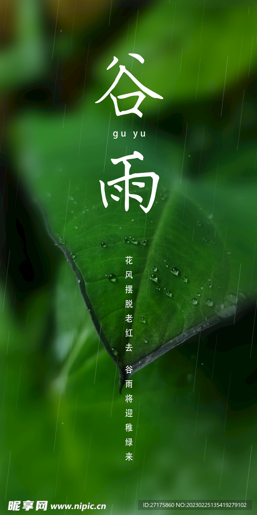 谷雨
