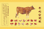 牛肉的分割图