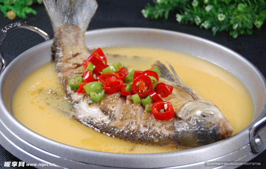 雞湯燉魚
