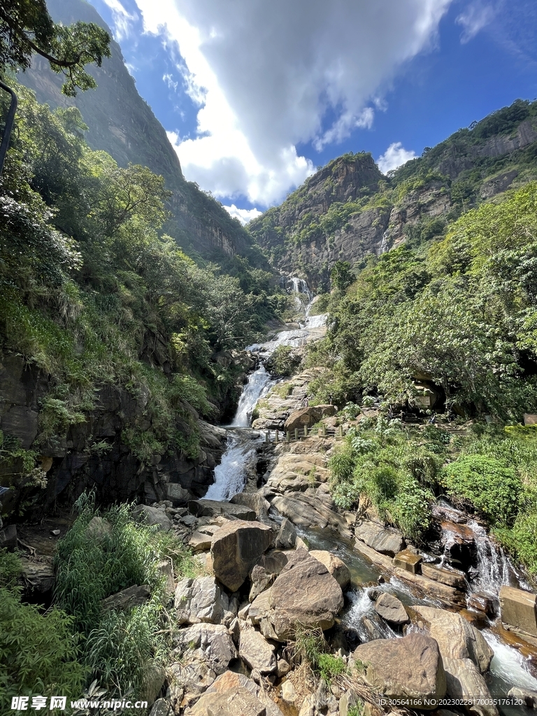 森林山崖河流
