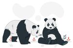 国宝 大熊猫  两个