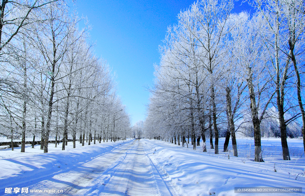 冬季雪景