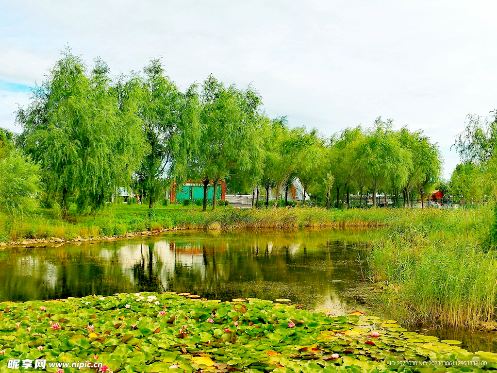 黑龙江富锦国家湿地公园