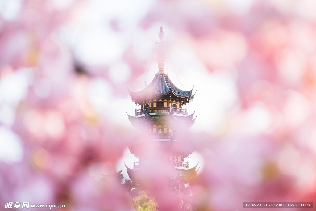 桃花林
